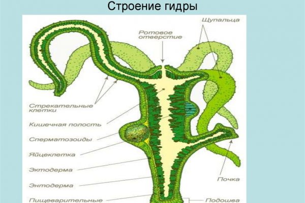 Kraken актуальные ссылки