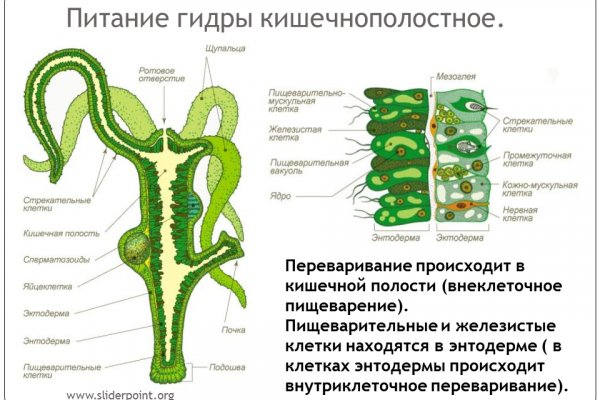 Ссылки кракен телеграф